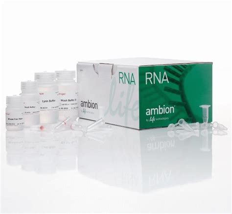 purelink rna mini kit|qiaamp rna mini kit.